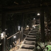 九つ井 本店 - 