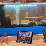 海鮮食堂 魚盛 - 大きな生け簀