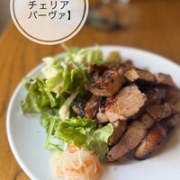 ブラチェリア バーヴァ - 