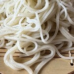 きぬたや - 電動ぼたん／40M