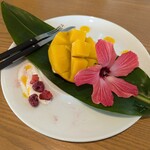 Blue Turtle Farm Mango Cafe - 