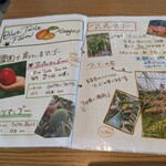 Blue Turtle Farm Mango Cafe - 