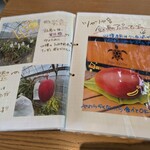 Blue Turtle Farm Mango Cafe - 