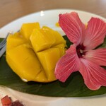 Blue Turtle Farm Mango Cafe - 