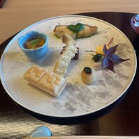 山茶花 - 