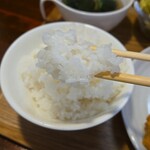 キッチン ブルー グローブ - ご飯が進む