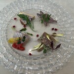 アマルフィイ ノベッロ - 