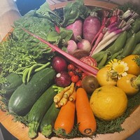 レフェルヴェソンス - アルチザン野菜