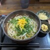 手打ちうどん げん天 - ゆずねぎうどん680円
