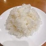 Kyukyoku no Hamburger steak ZEST