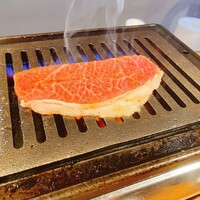ANIKU produced by 新井屋 - 