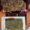 ほかほか弁当 セントラル前