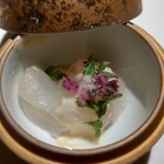 Metis - カワハギ