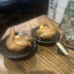 興 - 揚げ物 ぶれてしまいすみません
      ・手羽先とポテトフライ