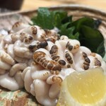 廻転鮨 銀座おのでら 本店 - 