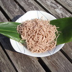 テラスに出た、さくらえびそば。