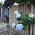 ２０１４．０６．１０．あじさいも大輪。