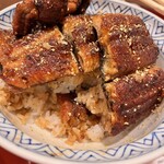 炭焼うな富士 - うな丼