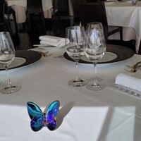 ツキ シュール ラメール - 