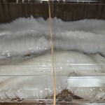 さかな屋ゆきち - エンガワ