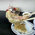 琉菊 - ニンニクの効いた野菜と肉のバランスも良いドンピシャ好み