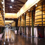 Chateau Mouton Rothschild - 