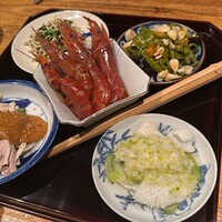 雪梅花 菜根譚 - 