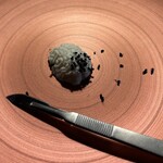 HIGASHITANI  - レアチーズケーキ アールグレイの蟻トッピング