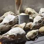 HIGASHITANI  - 2024年12月31日。訪問