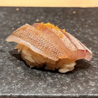 銀座 京都 鮨まつもと - 春子