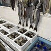 かぬか魚店