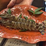 天ぷら はっとり - 