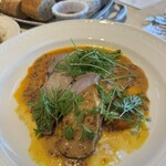 LAGOON TOOTH TOOTH - 