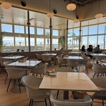 LAGOON TOOTH TOOTH - 