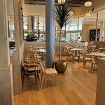 LAGOON TOOTH TOOTH - 