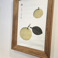 HIGASHIYA GINZA - 