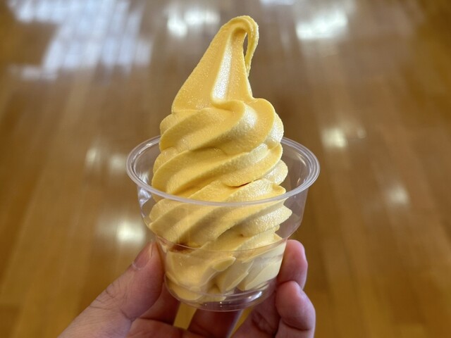 道の駅にしかわ 月山銘水館 売店 - 西川町その他（ジェラート・アイスクリーム）の写真