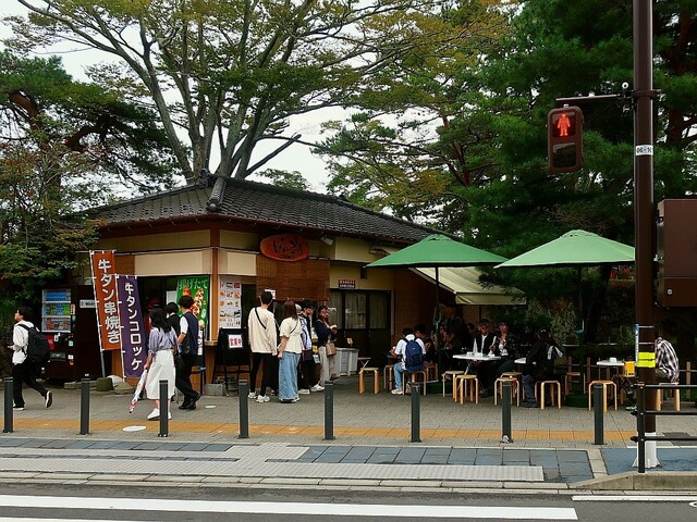 げんぞう（GENZOU） - 松島海岸（海鮮）の写真