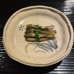 富小路 やま岸 - 本もろこ炭焼き