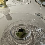 Fogliolina della Porta Fortuna - 