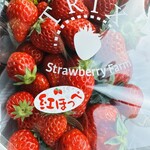 トリックスいちご園 - 