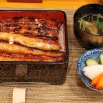 町田 うなぎ流木