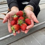 トリックスいちご園 - 