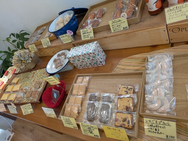 Dolceria mimosa primavera （ドルチェリア ミモザ プリマヴェーラ