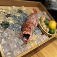 のどぐろ専門 銀座 中俣 - 