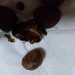 Nagoya Oimo Jo Hon Ten