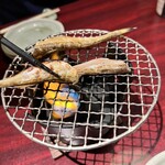 産直さばと青魚 伏見あおい - 