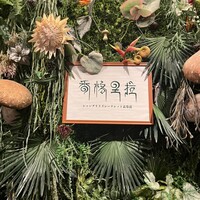 Shangri-La’s secret 表参道店 - 