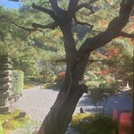 京 翠嵐 - 黒猫ちゃんがくつろいでいます