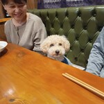 소바토 와인트 이베리스 side